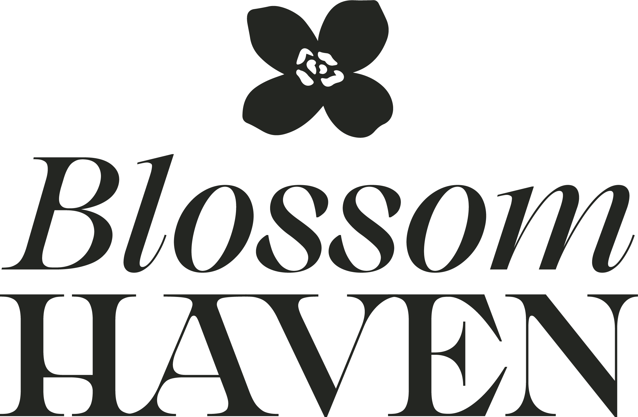 Blossom Haven: A New Name, the Same Heart